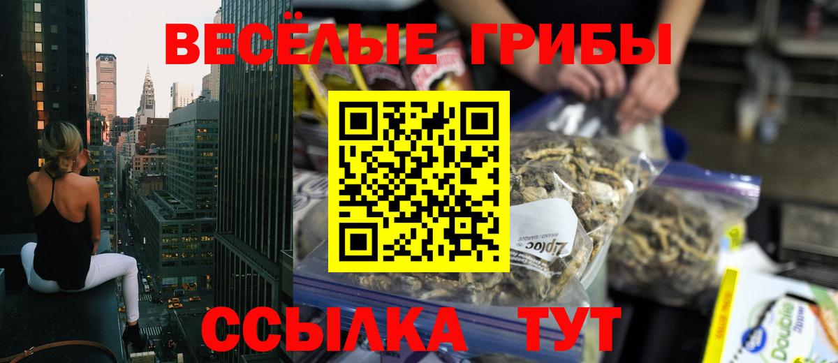Краснознаменск  Псилоцибиновые грибы ЛСД  Галлюциногенные грибы Cubensis  Вход с VPN 